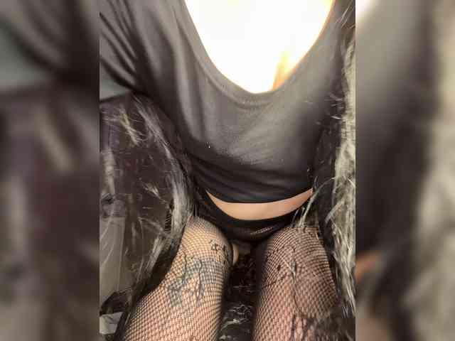 Sofelcamss
