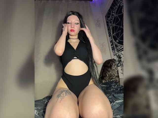 Sofelcamss webcam