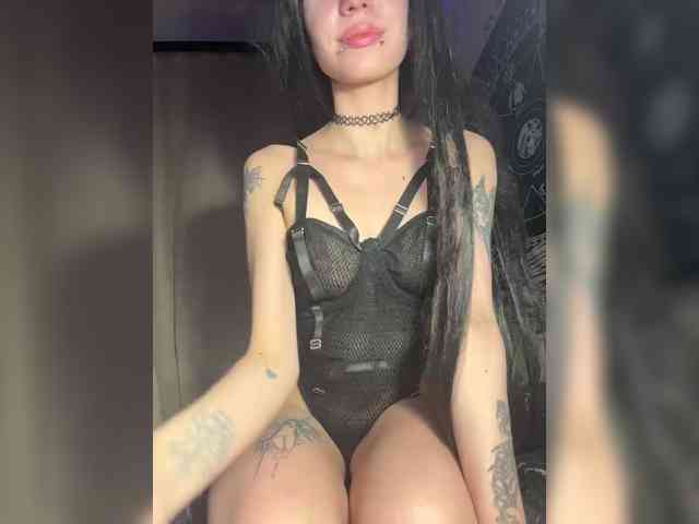 Sofelcamss webcam