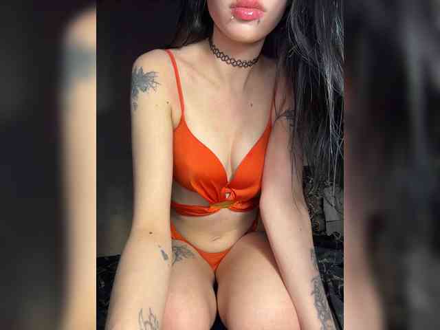 Sofelcamss webcam