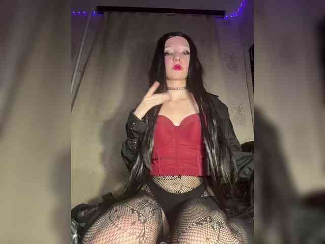 Sofelcamss webcam