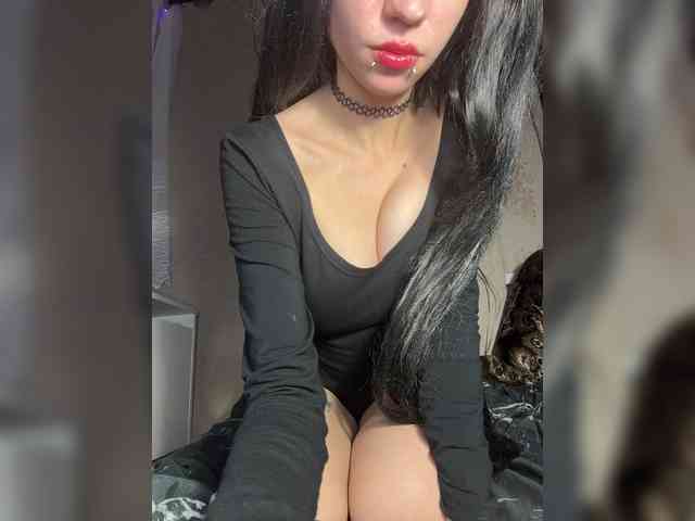 Sofelcamss webcam