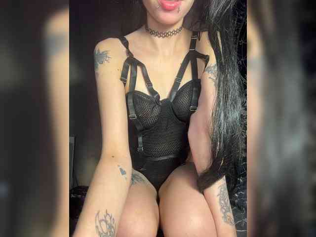 Sofelcamss webcam