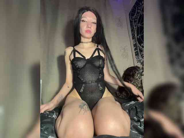 Sofelcamss webcam