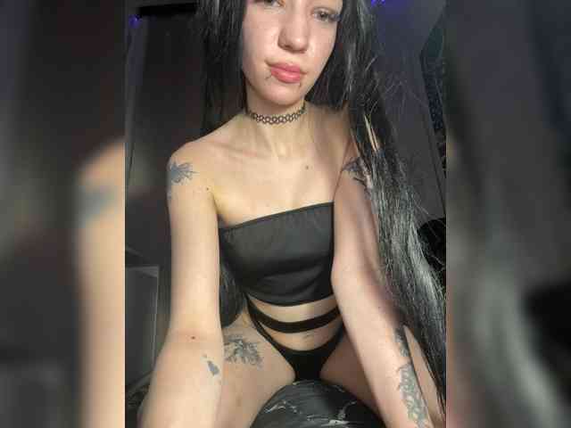Sofelcamss webcam