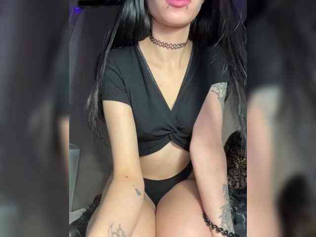 Sofelcamss webcam