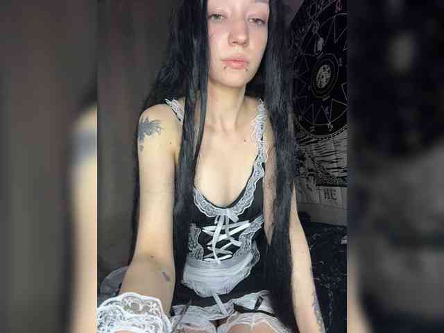 Sofelcamss webcam