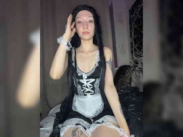 Sofelcamss webcam