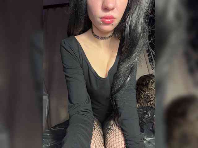 Sofelcamss webcam