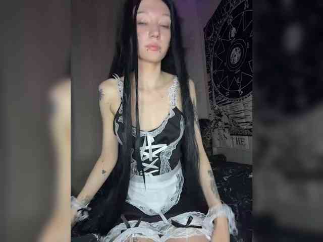 Sofelcamss webcam