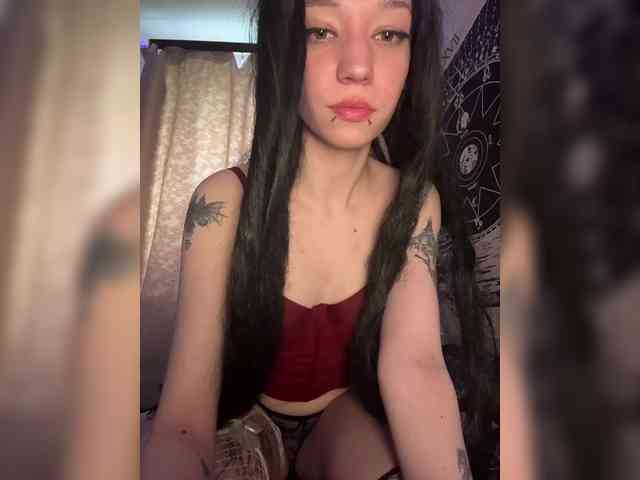 Sofelcamss