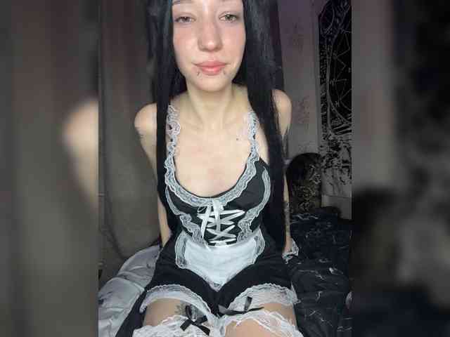 Sofelcamss webcam