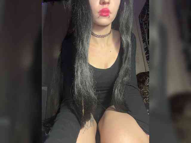 Sofelcamss webcam