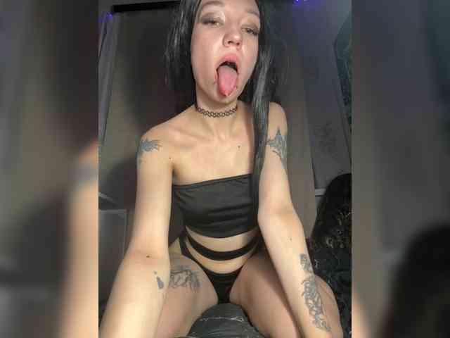 Sofelcamss webcam