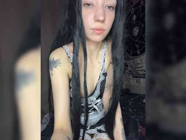 Sofelcamss webcam
