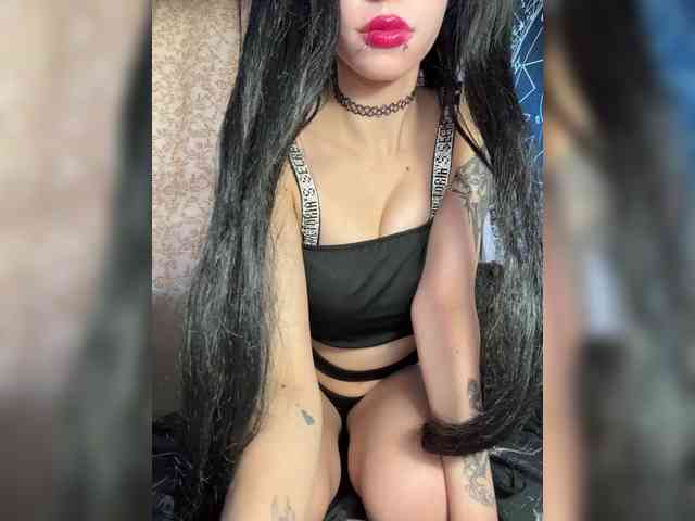Sofelcamss webcam