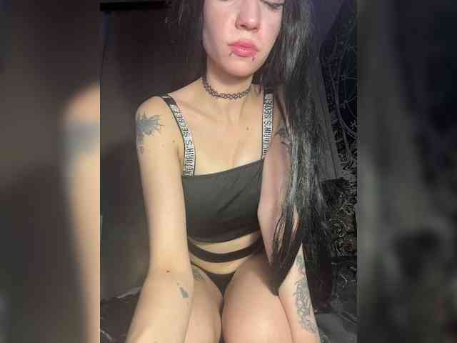 Sofelcamss webcam