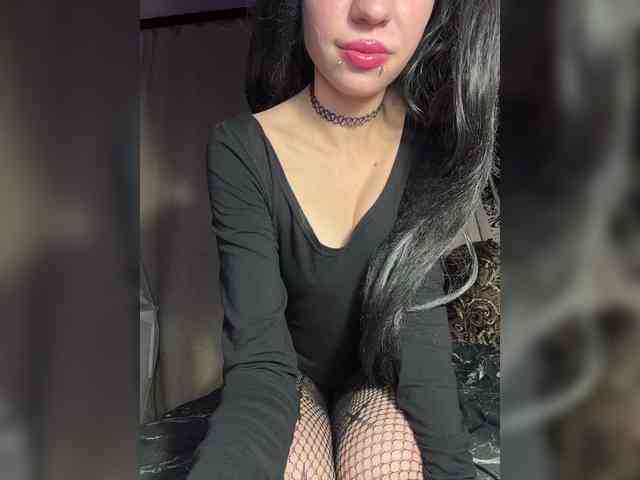 Sofelcamss webcam