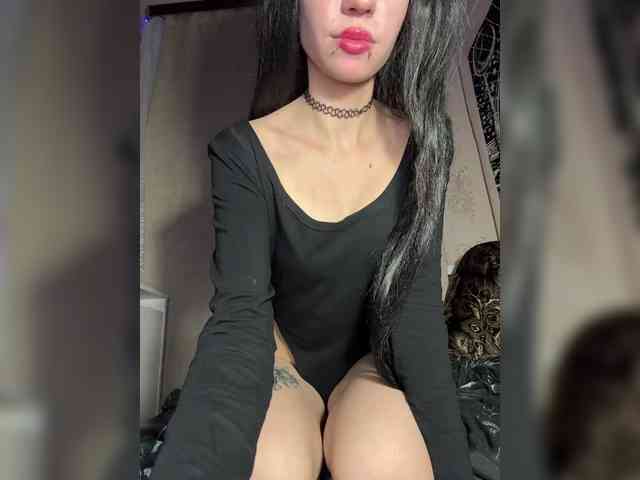 Sofelcamss webcam