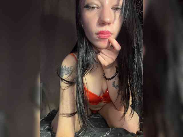 bdsmcamss
