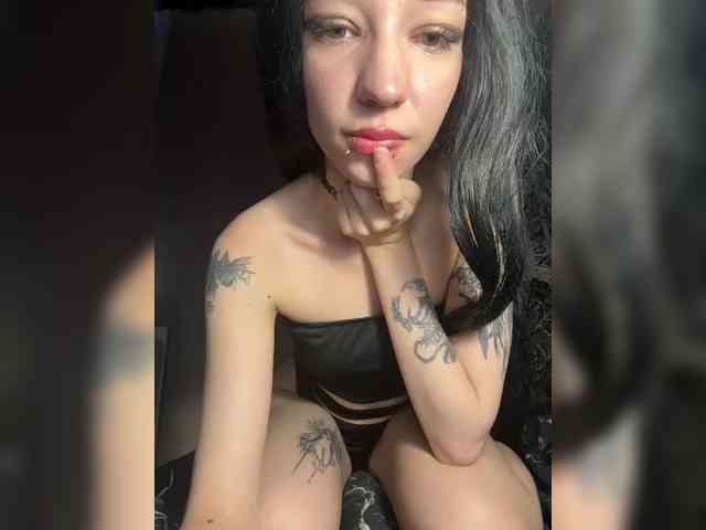 Sofelcamss webcam