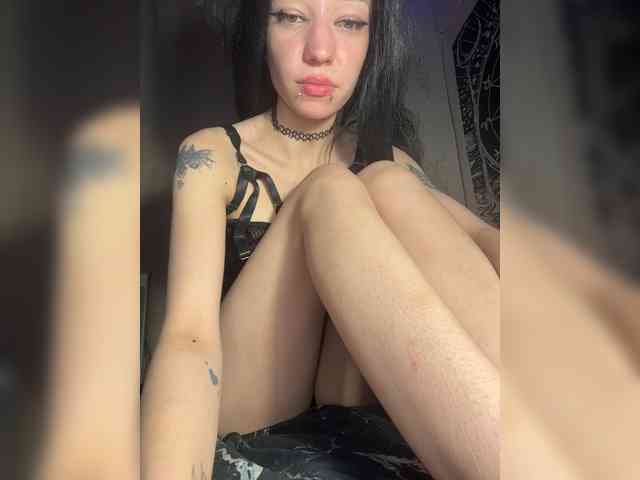 Sofelcamss webcam