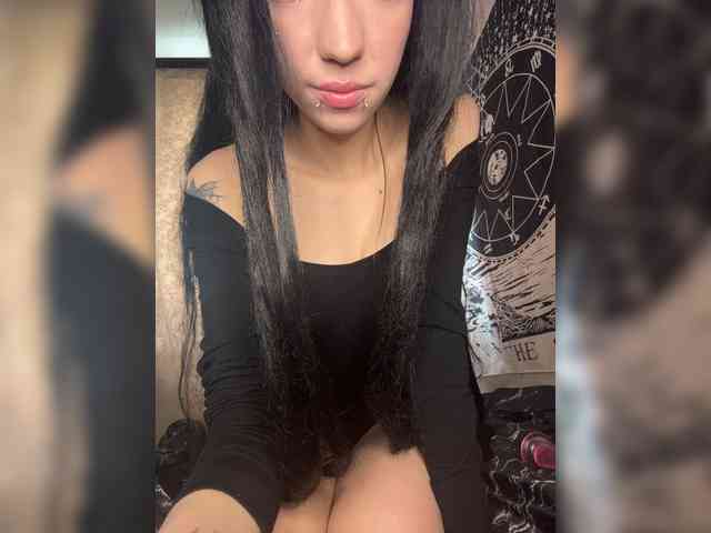 Sofelcamss webcam