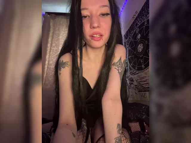 Sofelcamss
