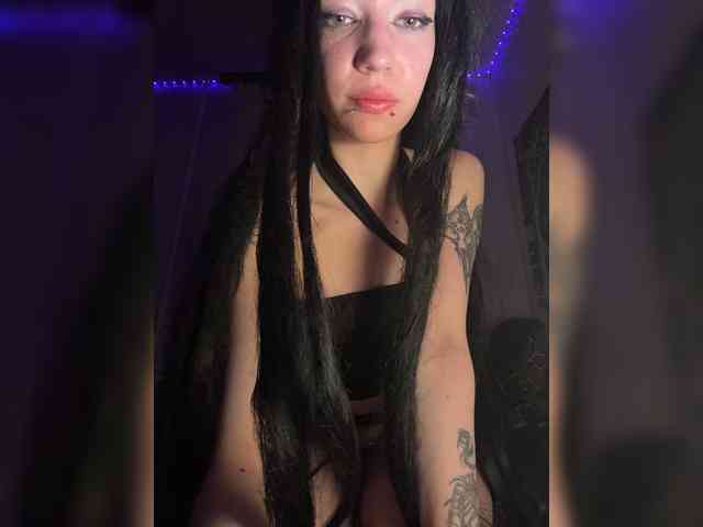 Sofelcamss webcam