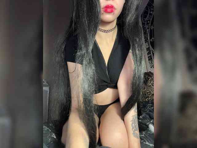 Sofelcamss webcam