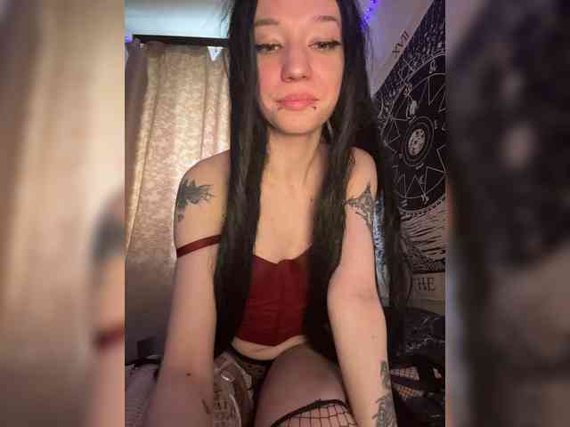 Sofelcamss