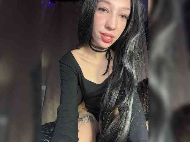 Sofelcamss webcam