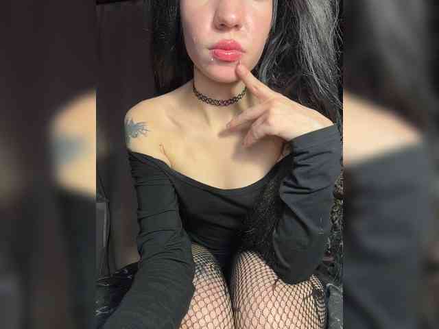 Sofelcamss webcam
