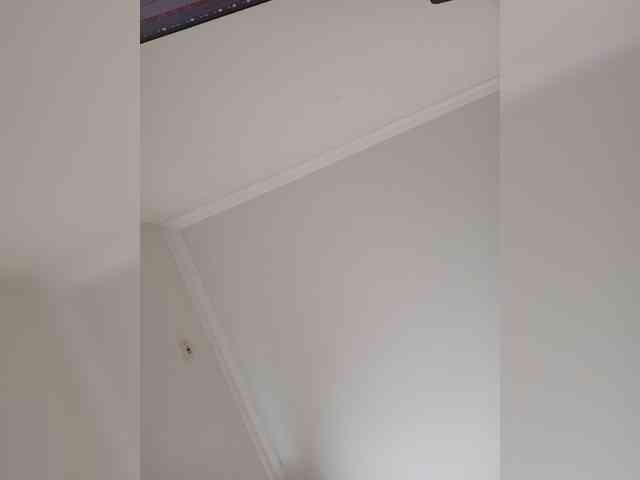 Cosmic_Kitti webcam