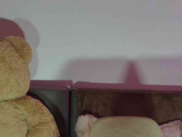 EvaMillar webcam