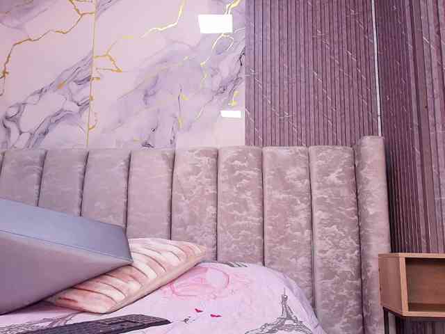 tinkerbell- webcam