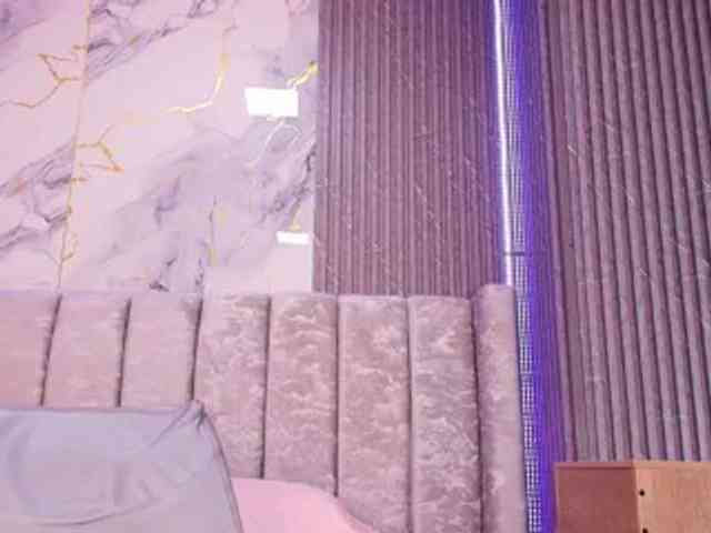 tinkerbell- webcam