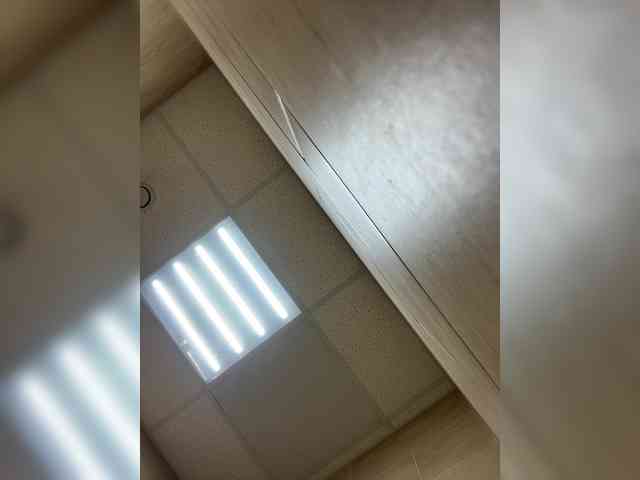 MirandaNow webcam