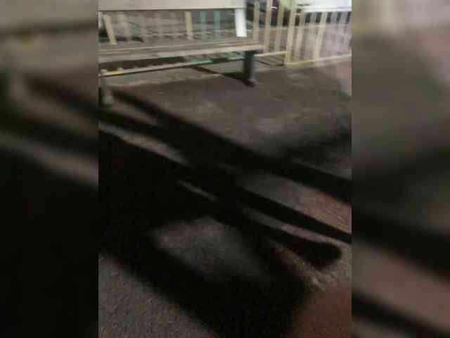MirandaNow webcam