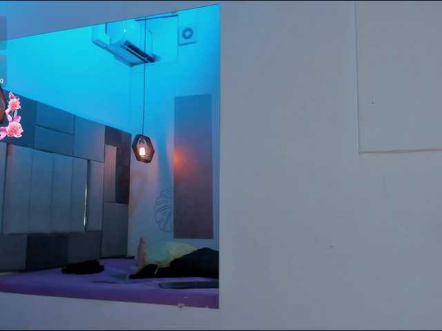 SamanthaFerrer live cam on BongaCams