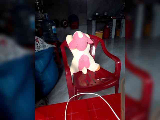 Susu-21 webcam