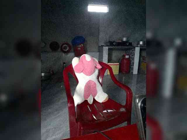 Susu-21 webcam