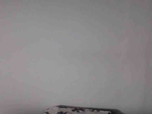 Modella: StormiHills