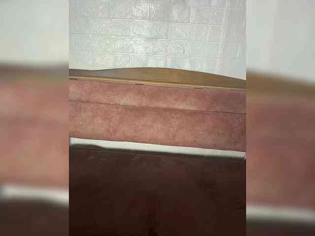Wiskey webcam