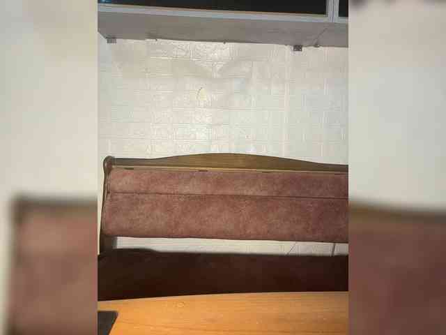 Wiskey webcam