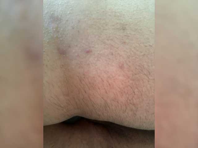 Fari1206