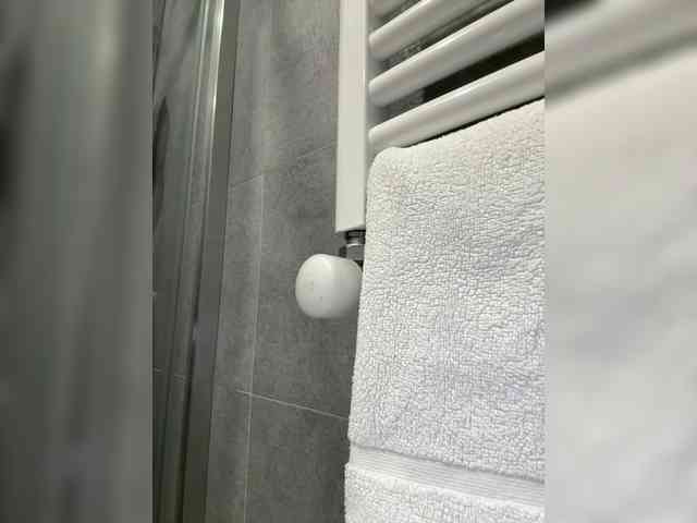 Kavkaz-virgin webcam