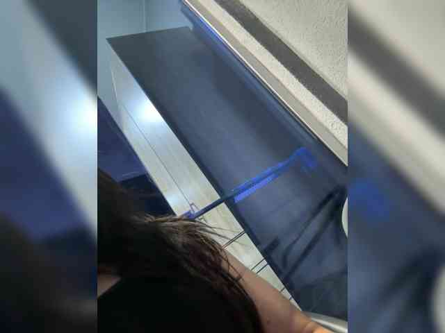 Kavkaz-virgin webcam