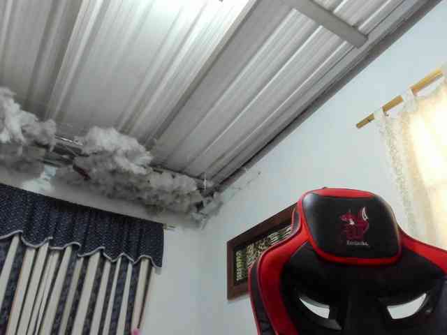 LauuuG webcam