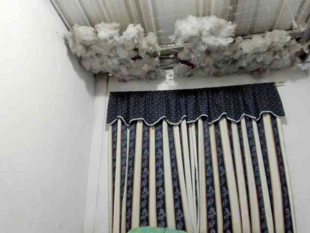 LauuuG webcam